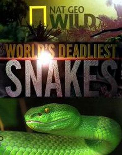Самые опасные змеи в мире (2010)
