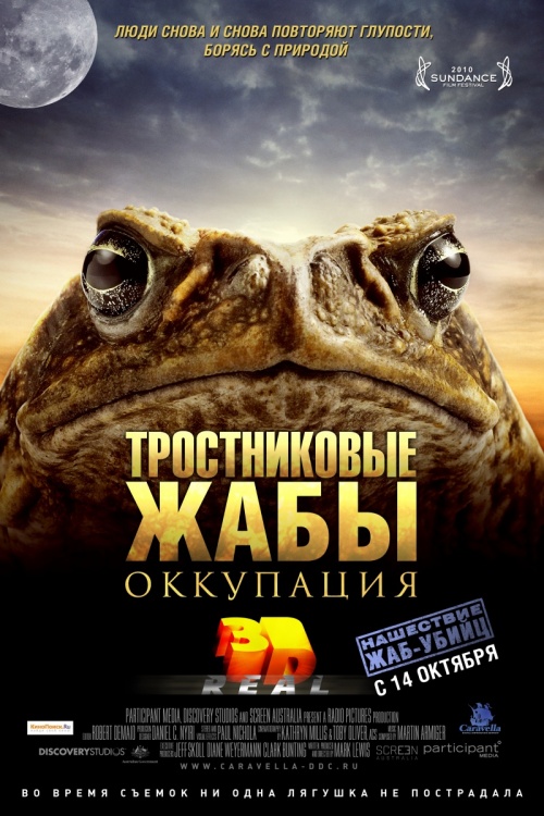 Тростниковые жабы: Оккупация (2010)