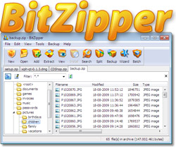 BitZipper 2013